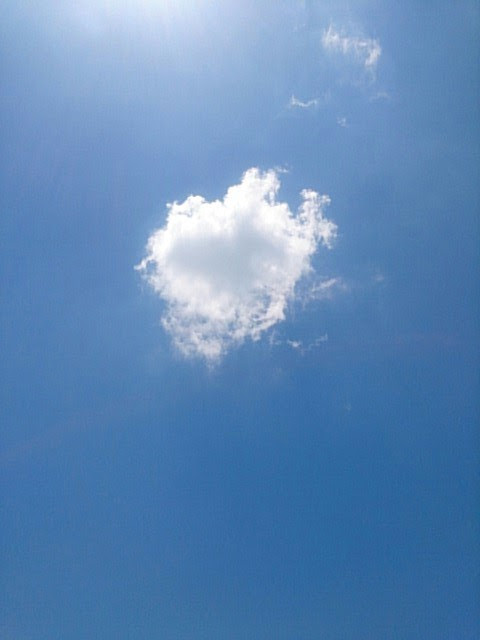 プラスカラフル